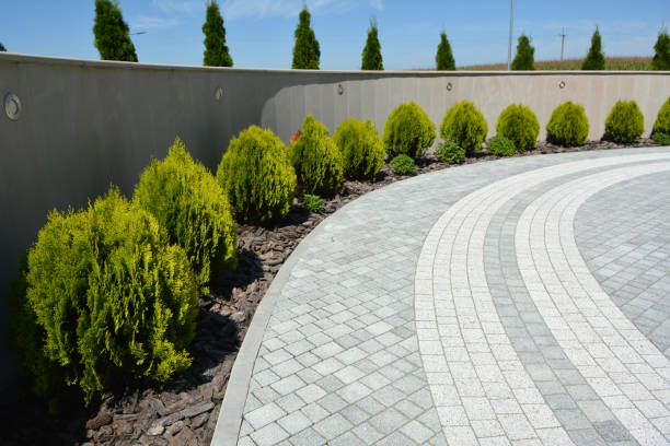 Best Driveway Paving Near Me  in Holiday Valley, OH